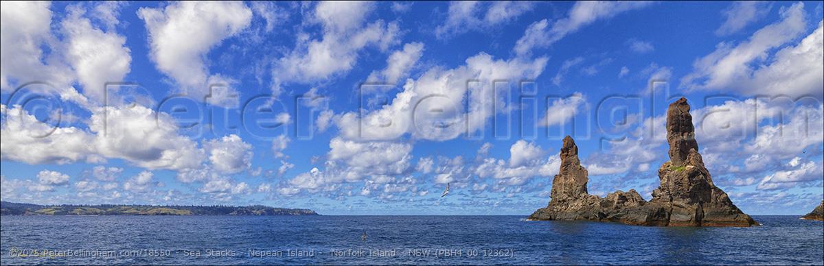 Peter Bellingham Photography Sea Stacks - Nepean Island - Norfolk Island - NSW (PBH4 00 12362)